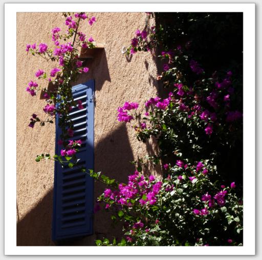 Fentre bleu lavande et fleurs couleur fushia