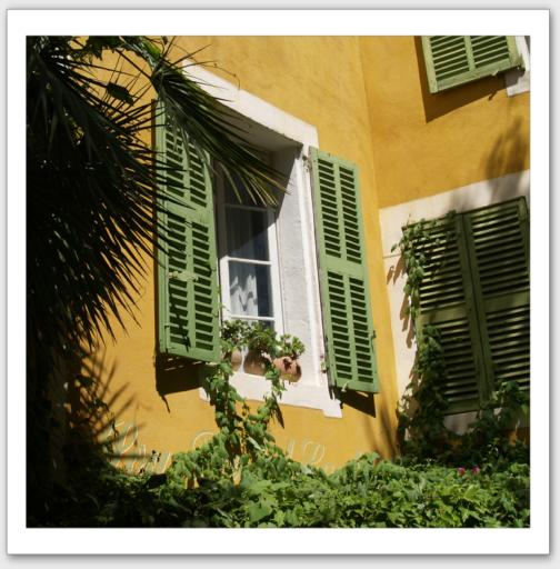 Ombre de palmier sur fentre sur cour  Bormes les mimosas