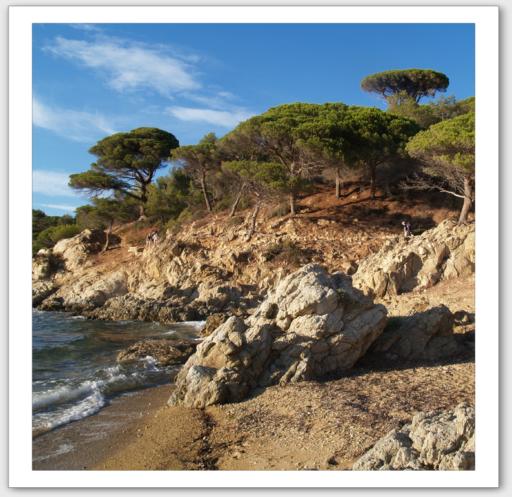 Petite calanque  l'ombre de pins parasols