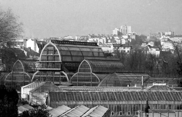 Workshop – Parcours complet argentique Street photo : de la pellicule au tirage