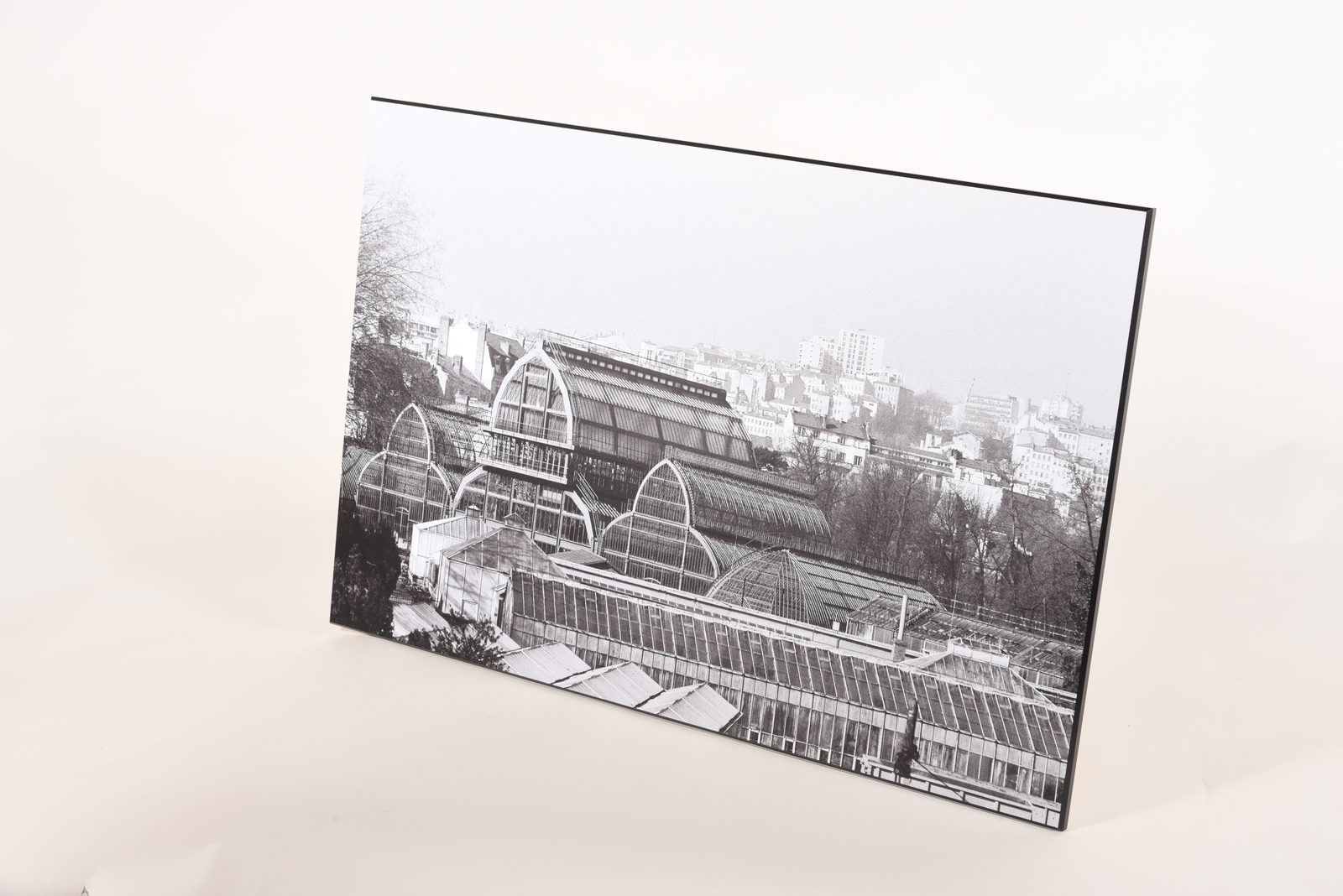 Tirage fine art noir et blanc grand format contrecollé