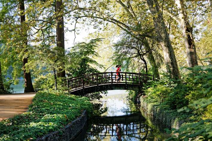 Passerelle du parc de la Tête d'Or à Lyon, au-dessus de l'eau, sous les arbres